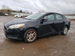 Ford Vehiculos salvage en venta: 2017 Ford Focus SE