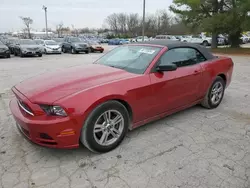 2013 Ford Mustang en venta en Lexington, KY