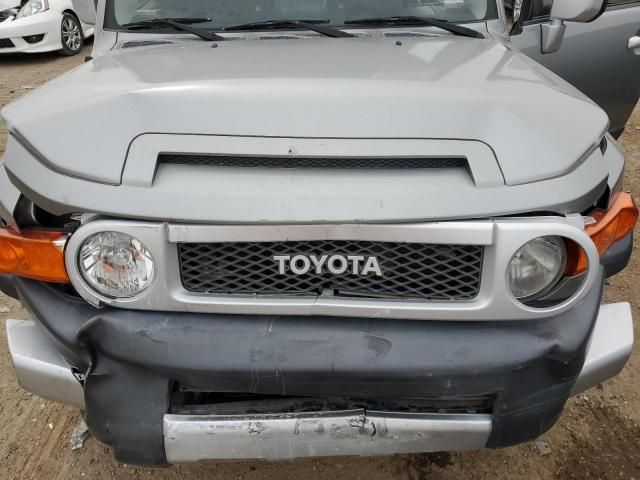 2010 Toyota FJ Cruiser