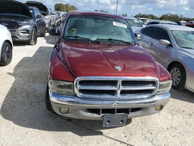 2000 Dodge Dakota