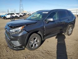 Salvage cars for sale from Copart Adelanto, CA: 2023 Toyota Rav4 XLE