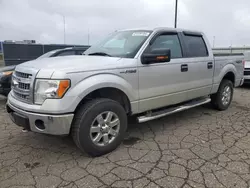 Ford salvage cars for sale: 2013 Ford F150 Supercrew