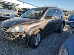 Salvage cars for sale at Bridgeton, MO auction: 2010 Honda CR-V EX