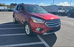 Copart GO cars for sale at auction: 2017 Ford Escape SE