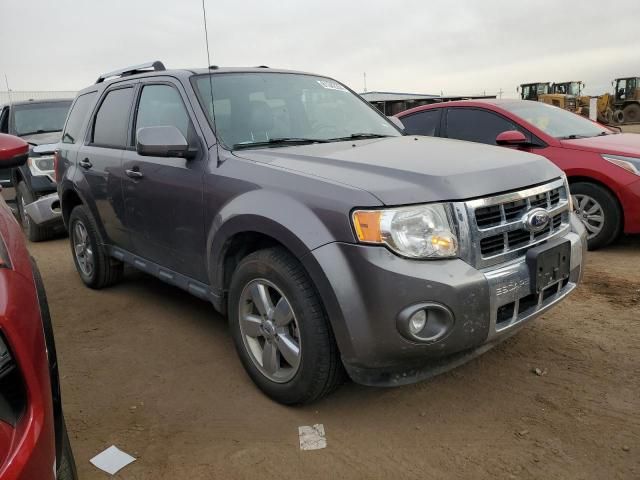 2010 Ford Escape Limited