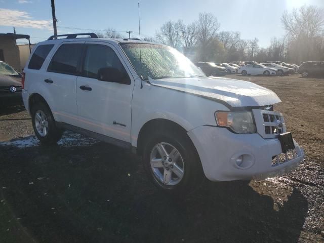 2009 Ford Escape Hybrid