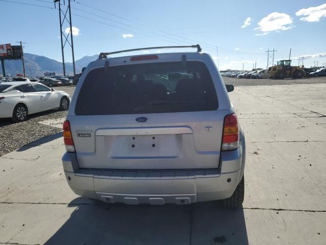 2005 Ford Escape Limited