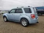 2008 Ford Escape HEV