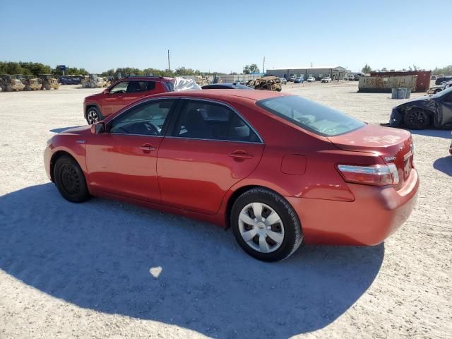 2008 Toyota Camry Hybrid