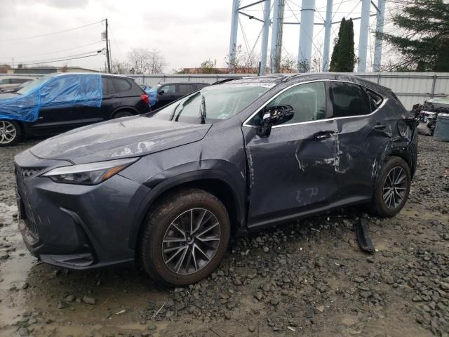 2024 Lexus NX 350 Base