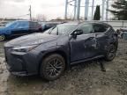 2024 Lexus NX 350 Base