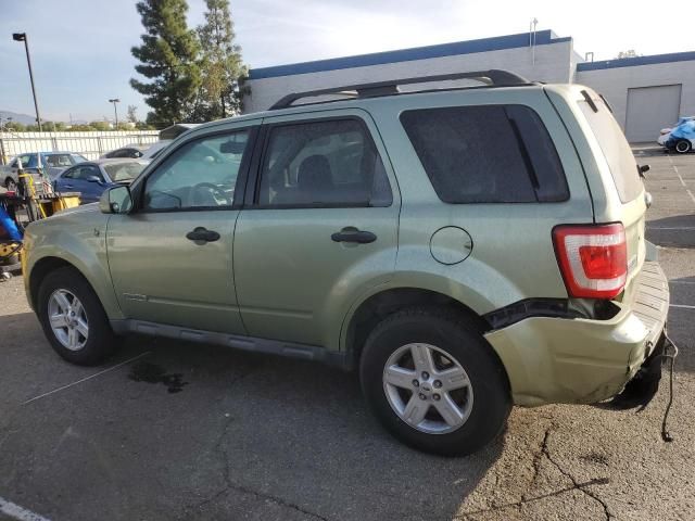 2008 Ford Escape HEV