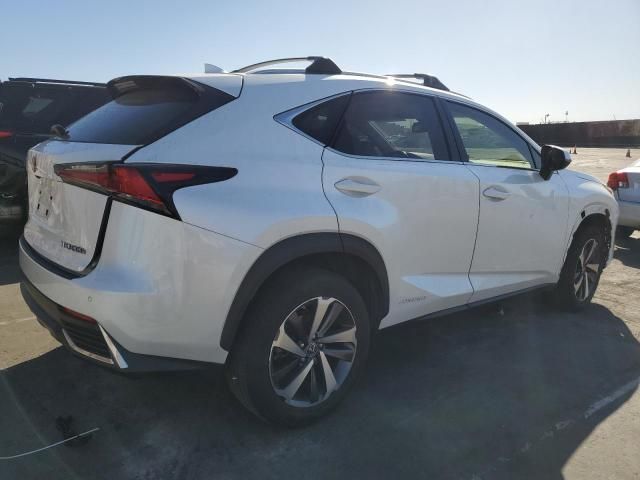 2019 Lexus NX 300H