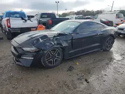 Ford salvage cars for sale: 2019 Ford Mustang