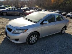 Salvage cars for sale from Copart Marlboro, NY: 2009 Toyota Corolla Base