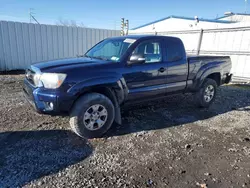 Vehiculos salvage en venta de Copart Albany, NY: 2013 Toyota Tacoma