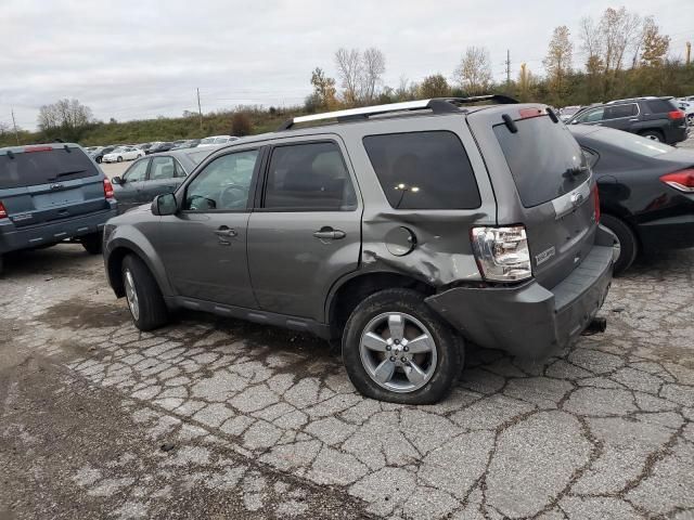 2010 Ford Escape Limited