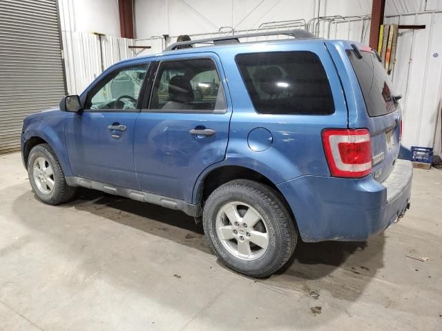 2010 Ford Escape XLT