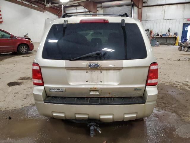 2011 Ford Escape XLT