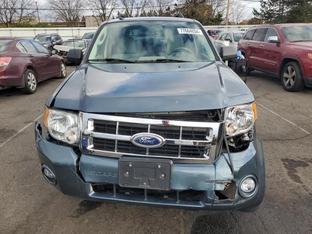 2011 Ford Escape XLT