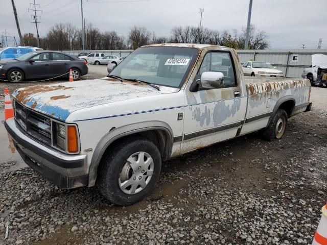 1989 Dodge Dakota