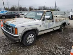 Carros salvage a la venta en subasta: 1989 Dodge Dakota