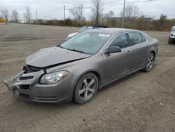 Carros salvage a la venta en subasta: 2011 Chevrolet Malibu 1LT