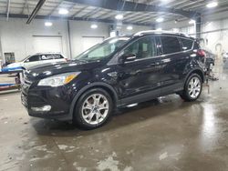 Ford Escape salvage cars for sale: 2016 Ford Escape Titanium