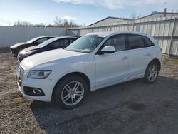 Audi Vehiculos salvage en venta: 2015 Audi Q5 Premium Plus