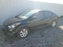 Salvage cars for sale at Lexington, KY auction: 2016 Hyundai Elantra SE