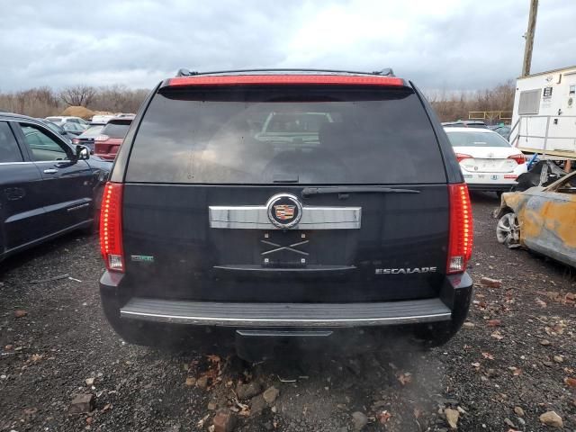 2010 Cadillac Escalade Luxury