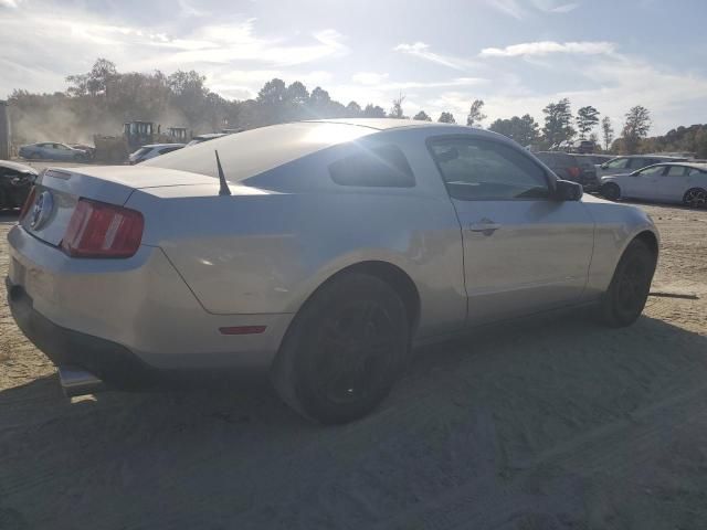 2010 Ford Mustang