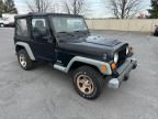 2005 Jeep Wrangler / TJ SE