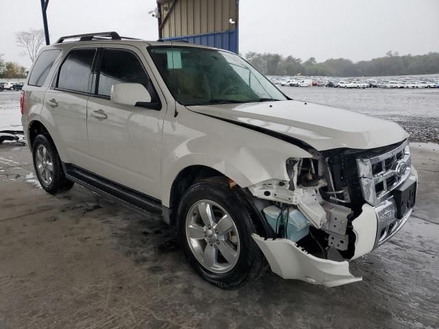 2011 Ford Escape Limited