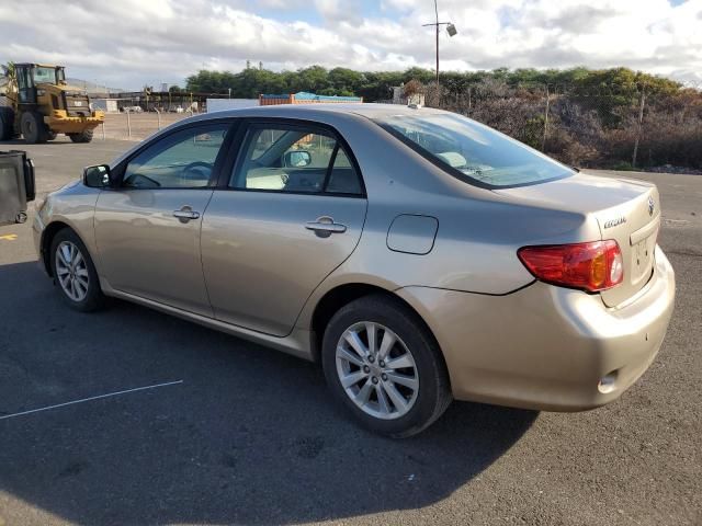 2010 Toyota Corolla Base