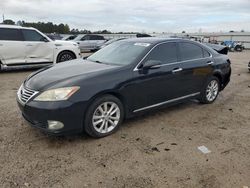 Lexus Vehiculos salvage en venta: 2010 Lexus ES 350