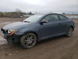 Scion tc salvage cars for sale: 2008 Scion TC