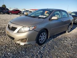 2010 Toyota Corolla Base en venta en Cahokia Heights, IL