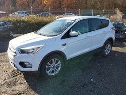 Ford salvage cars for sale: 2017 Ford Escape SE