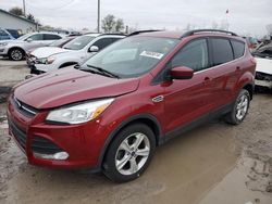 Ford Escape se Vehiculos salvage en venta: 2016 Ford Escape SE