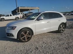 Audi q5 Premium Plus salvage cars for sale: 2015 Audi Q5 Premium Plus