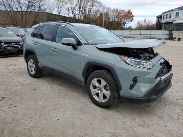 2019 Toyota Rav4 XLE