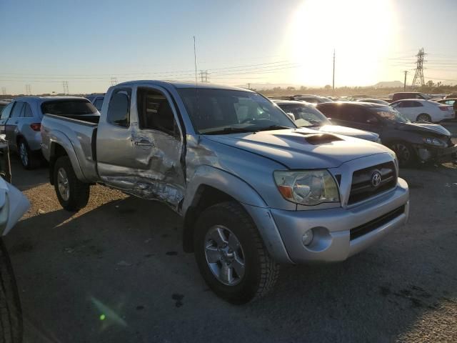 2005 Toyota Tacoma Prerunner Access Cab