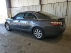 2009 Toyota Camry Hybrid