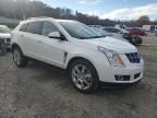 2010 Cadillac SRX Performance Collection