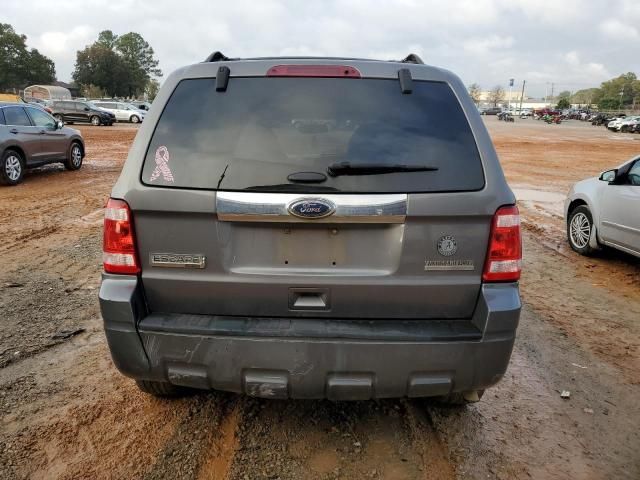 2011 Ford Escape Limited