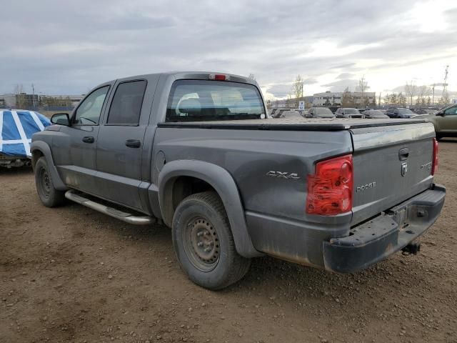 2011 Dodge Dakota SLT