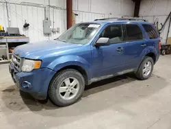 Salvage cars for sale at Billings, MT auction: 2010 Ford Escape XLT