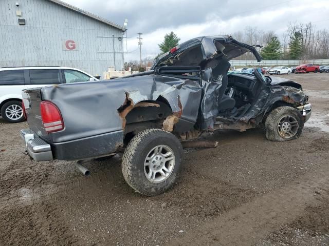 2004 Dodge Dakota SLT