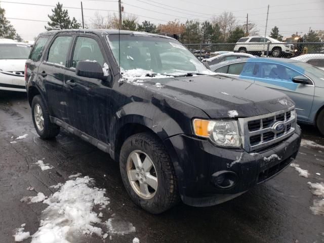 2011 Ford Escape XLS